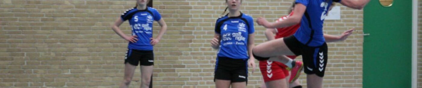 HV Zwolle Handbal Zwolle S Port