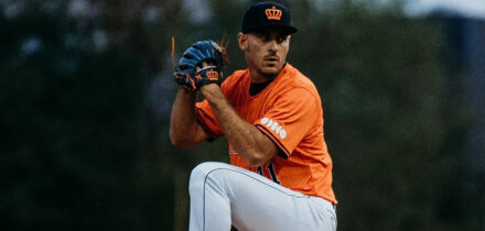 Honkbal mikegroen